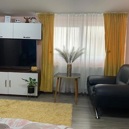 Garsoniera Madalina Apartman Nagyszeben Kültér fotó