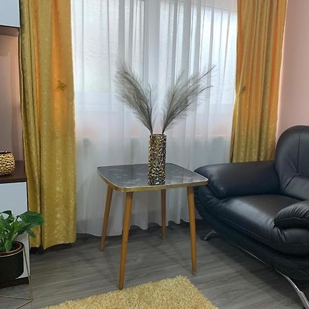 Garsoniera Madalina Apartman Nagyszeben Kültér fotó