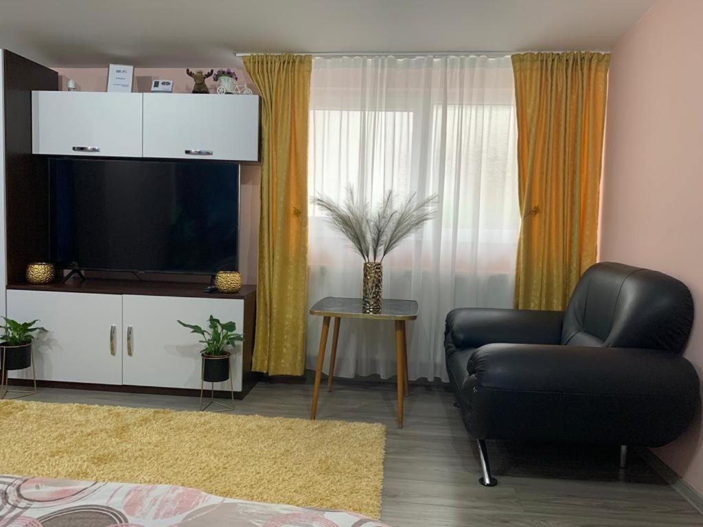 Garsoniera Madalina Apartman Nagyszeben Kültér fotó