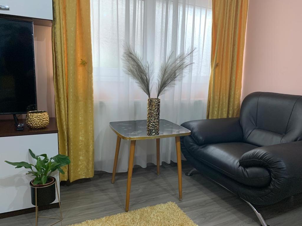 Garsoniera Madalina Apartman Nagyszeben Kültér fotó