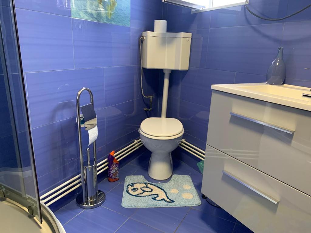 Garsoniera Madalina Apartman Nagyszeben Kültér fotó