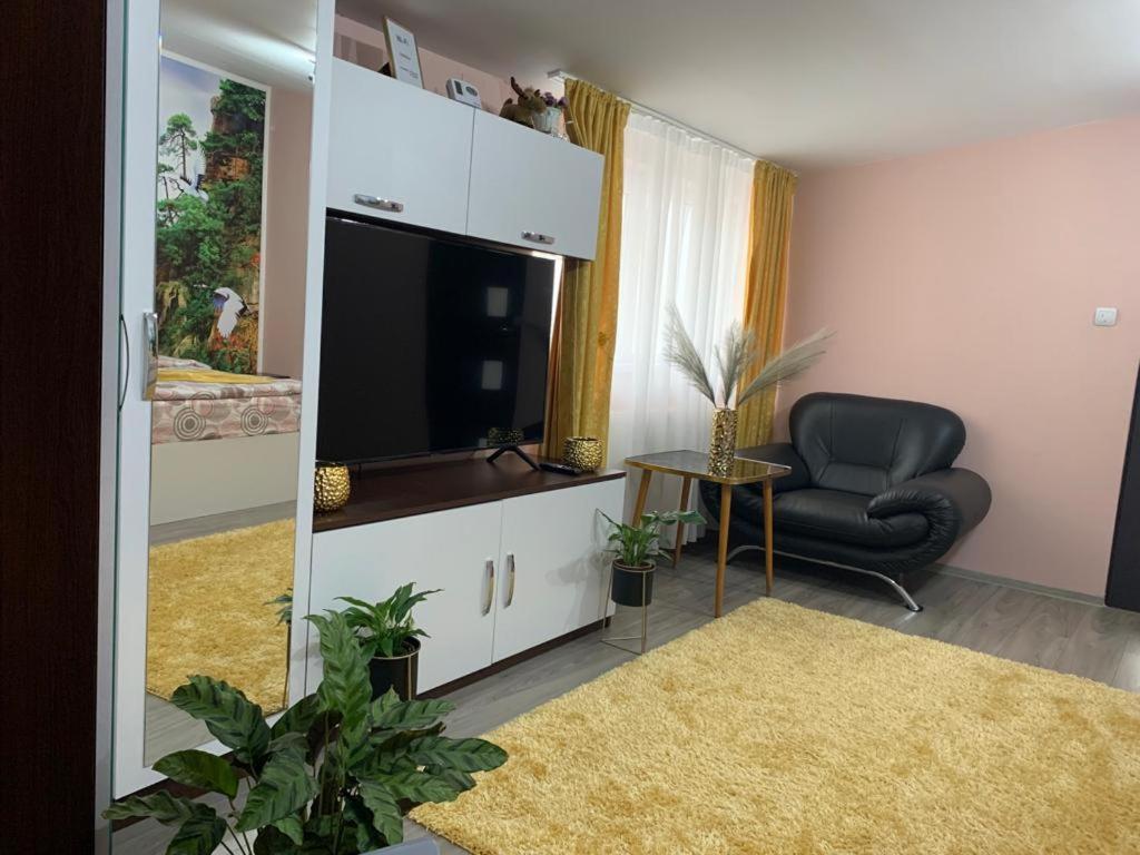 Garsoniera Madalina Apartman Nagyszeben Kültér fotó