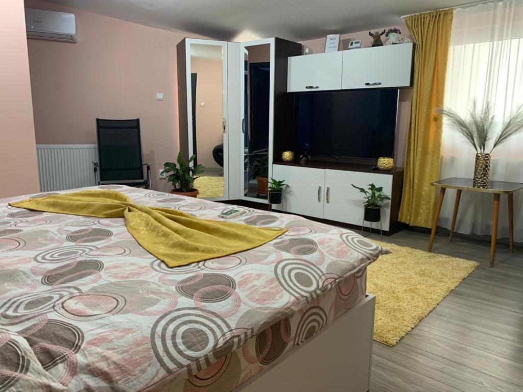 Garsoniera Madalina Apartman Nagyszeben Kültér fotó