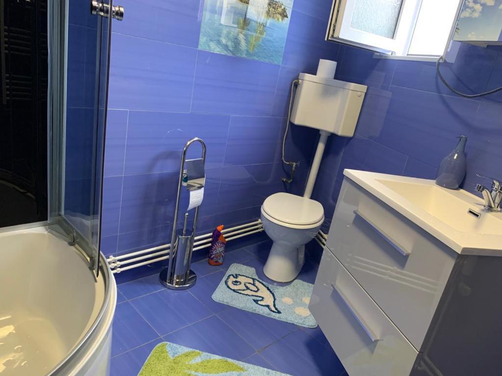 Garsoniera Madalina Apartman Nagyszeben Kültér fotó